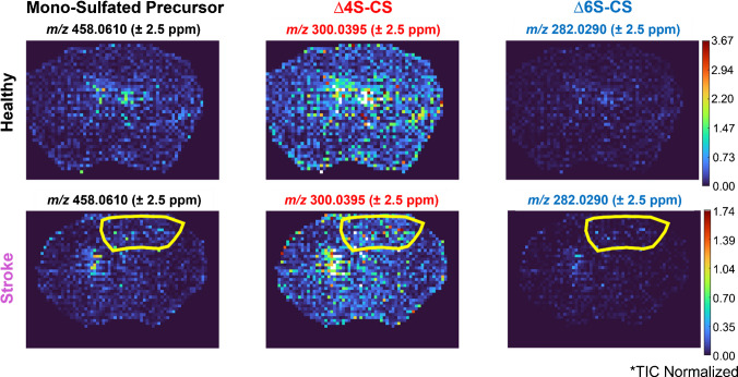 Figure 11