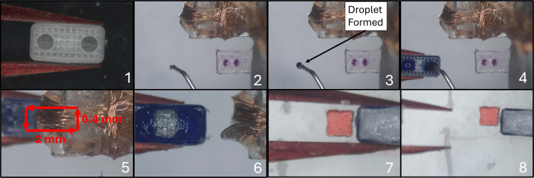 Figure 12