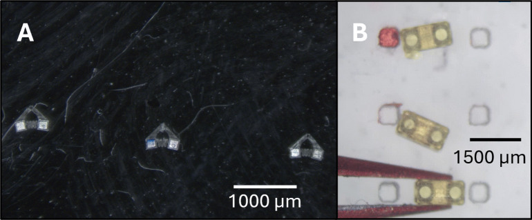 Figure 20