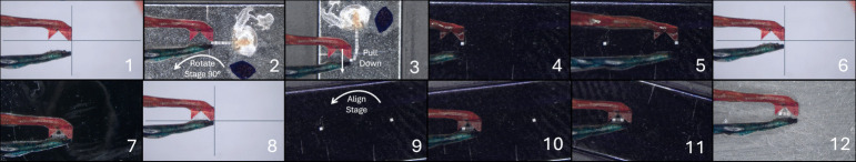 Figure 7