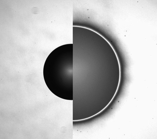 Figure 8