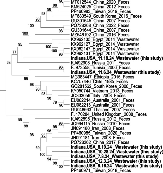 Figure 2