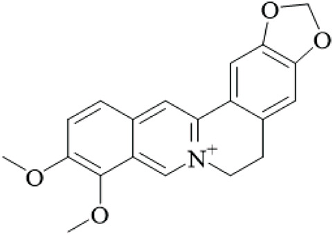 Figure 13