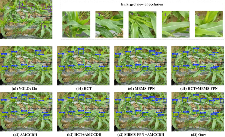 Figure 12