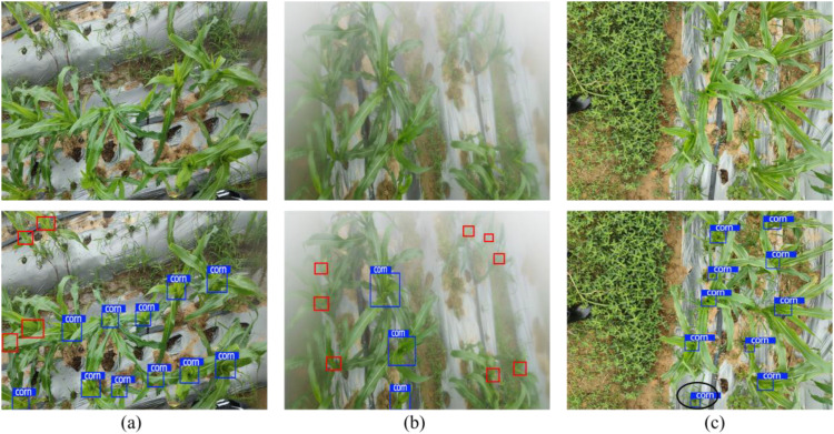 Figure 14