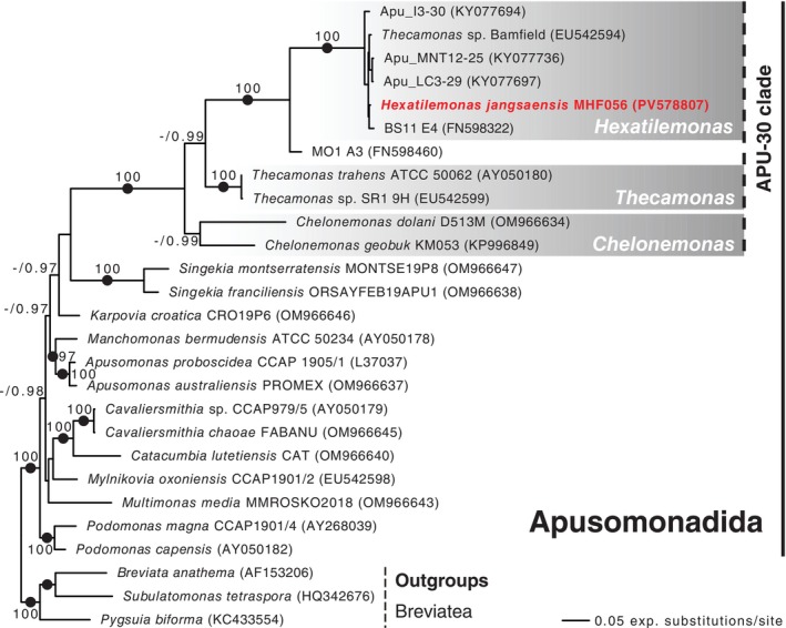 FIGURE 4