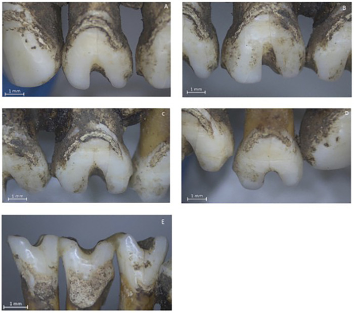 Figure 3