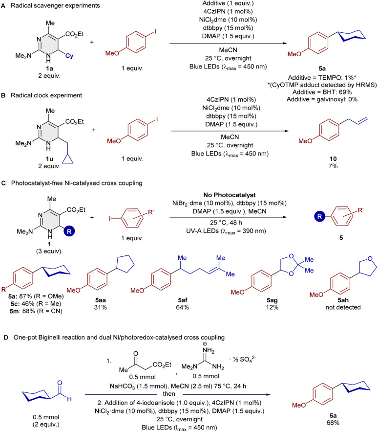 Scheme 4