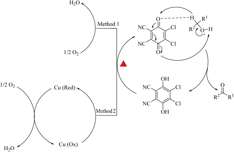 Scheme 1
