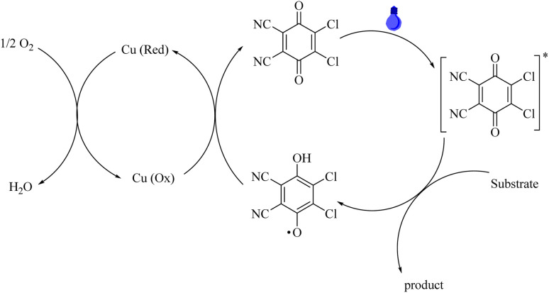 Scheme 3