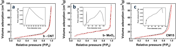 Fig. 10