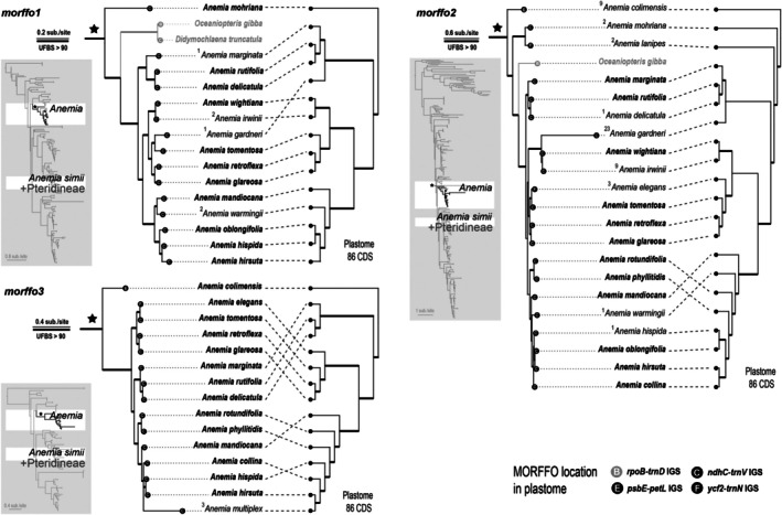 Fig. 7