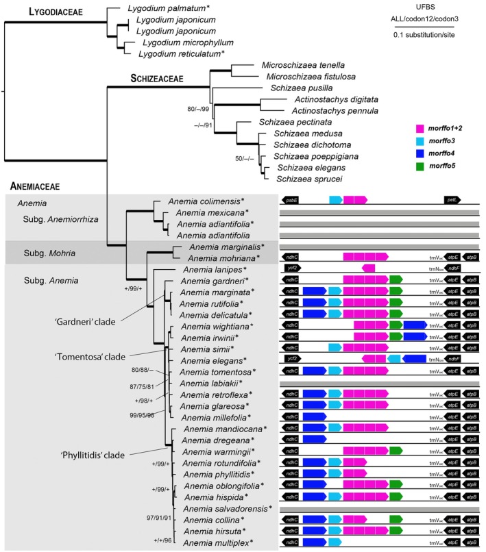 Fig. 2