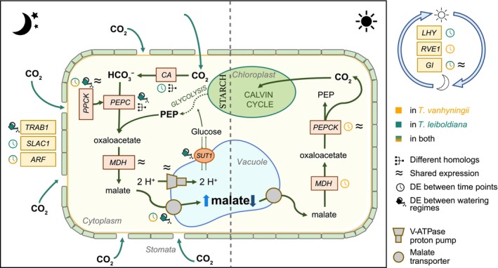 FIGURE 9