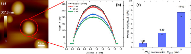 Figure 5