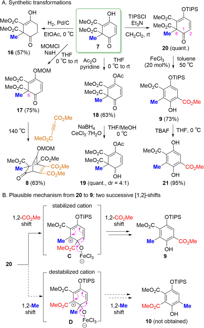 Scheme 2