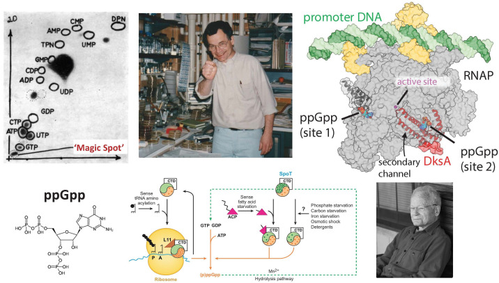 Fig 1