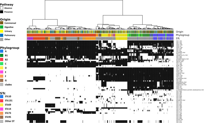 Fig 5