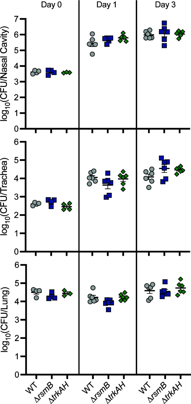 Fig 4