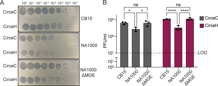 Fig 3