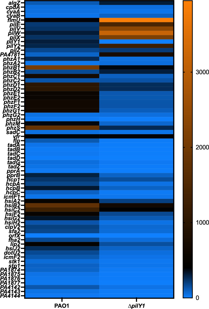 Fig 2