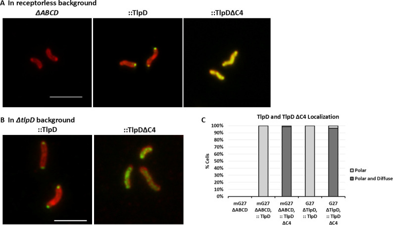 Fig 4