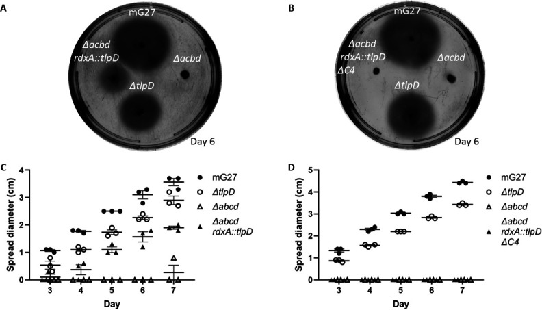 Fig 6