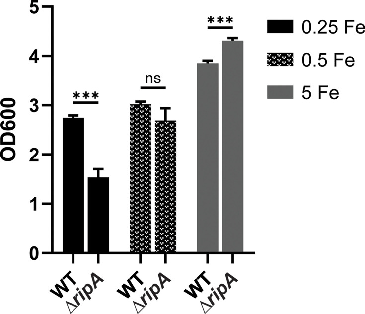Fig 5