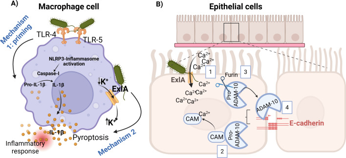 Fig 1