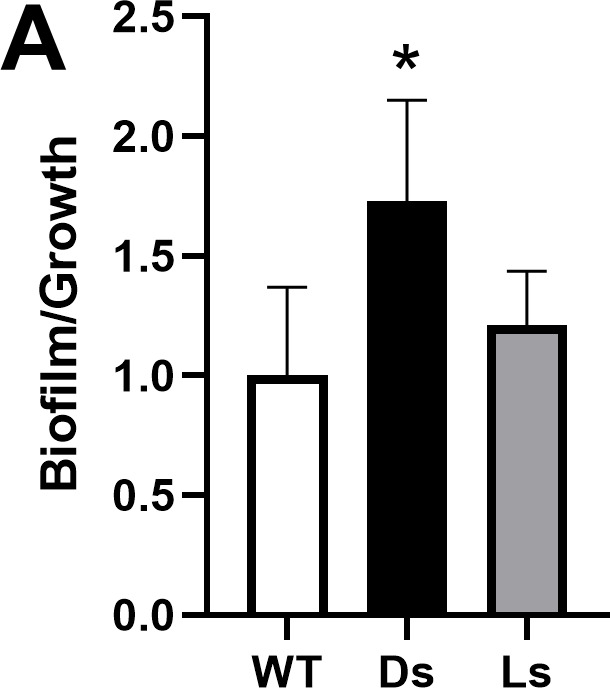 Fig 7