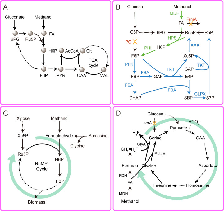 Fig 2