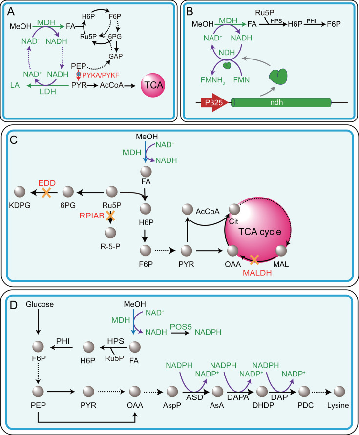 Fig 6