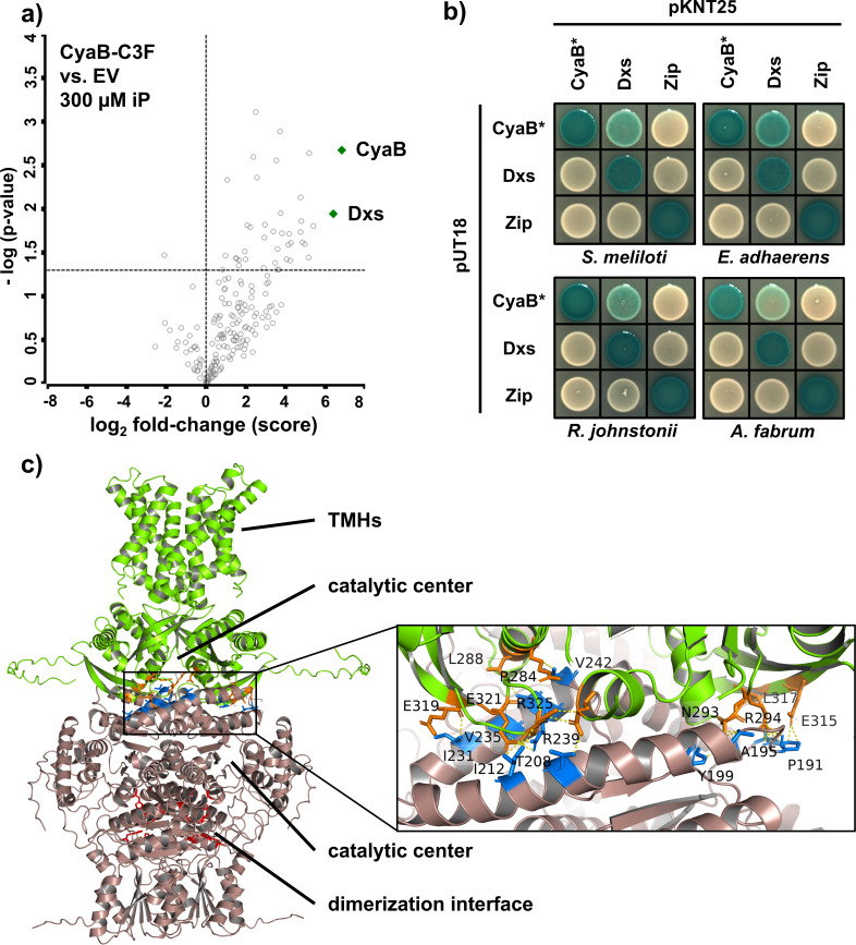 Fig 4