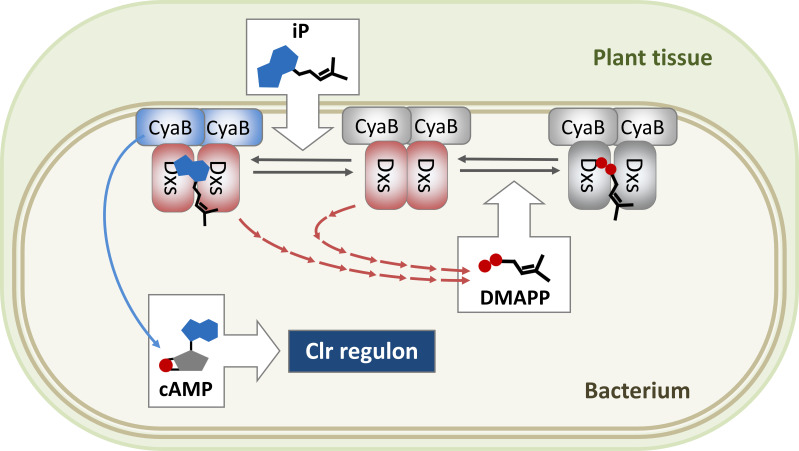 Fig 6