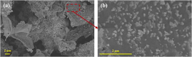 Fig. 10