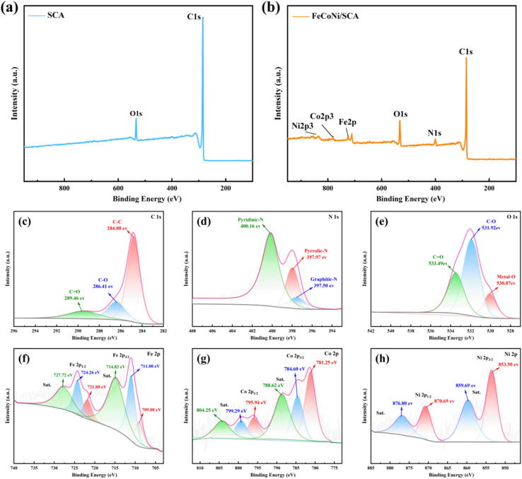 Fig. 12