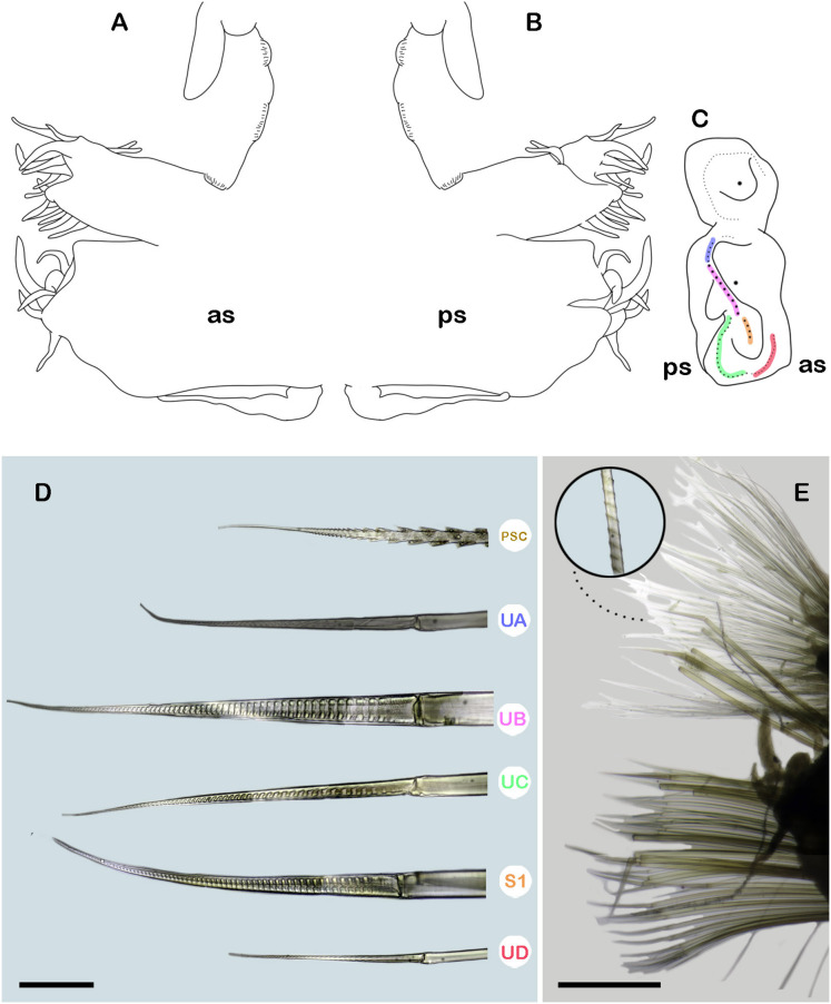 Figure 7