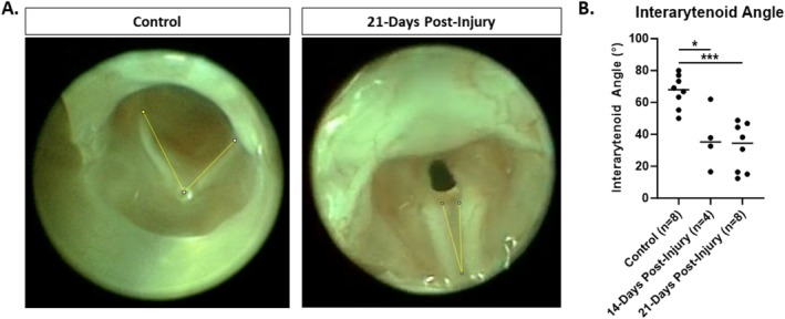 FIGURE 3