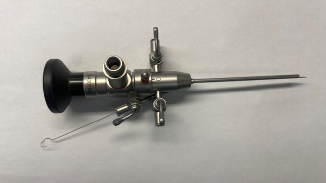 FIGURE 1