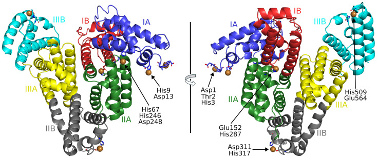 Fig. 1
