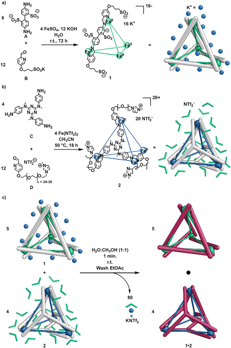 Fig. 2