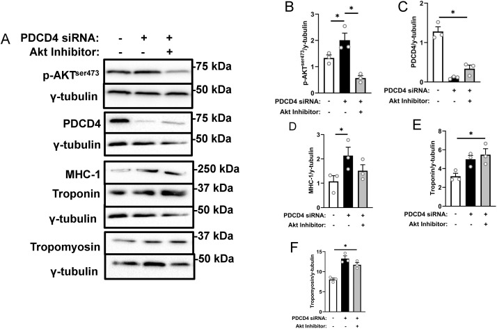 Fig 7