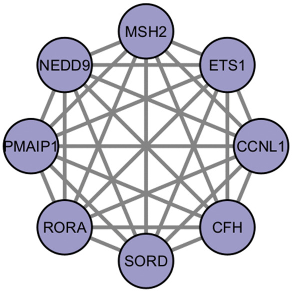 Fig 8