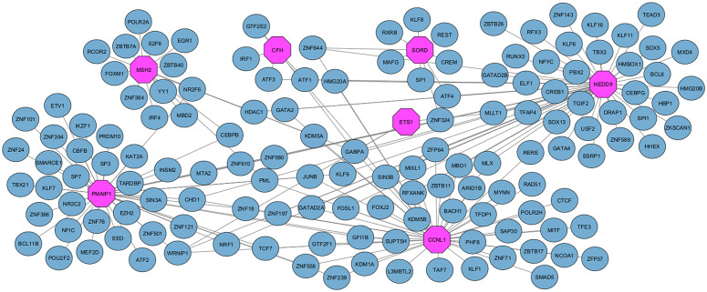 Fig 11