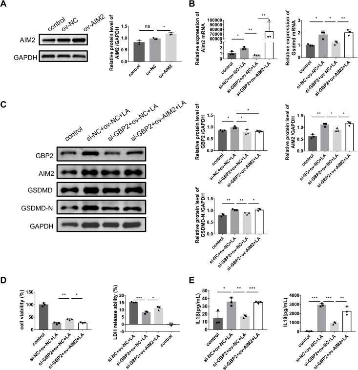 Fig 6