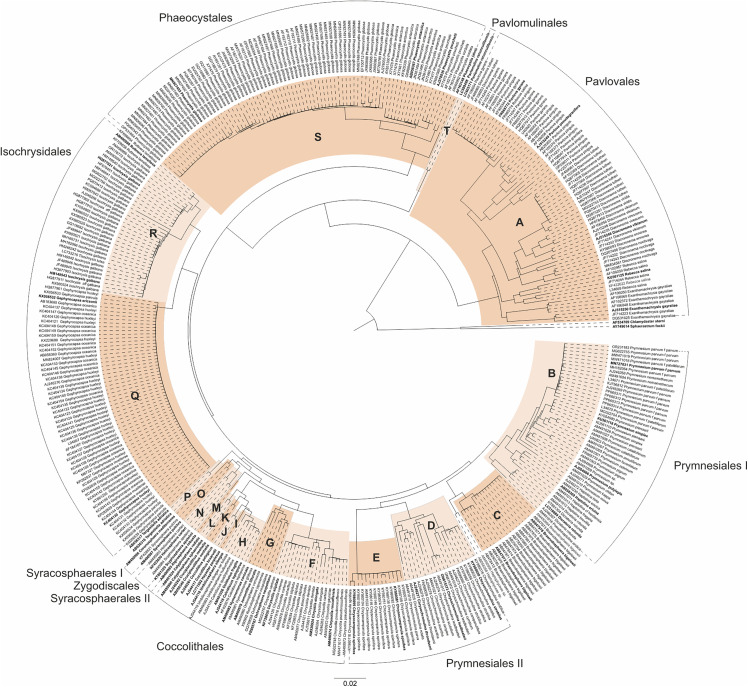 Fig 1