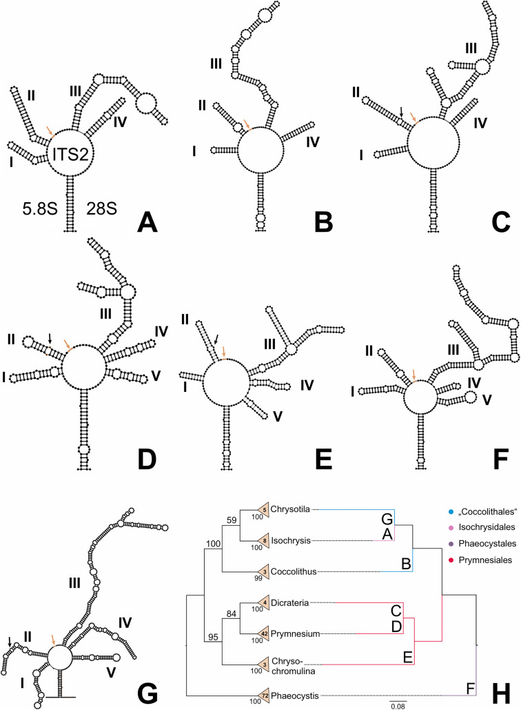 Fig 5