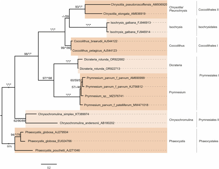 Fig 6