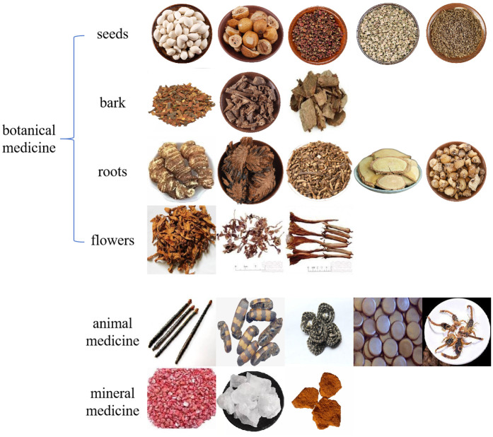 Fig 1