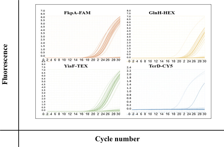 Fig. 3